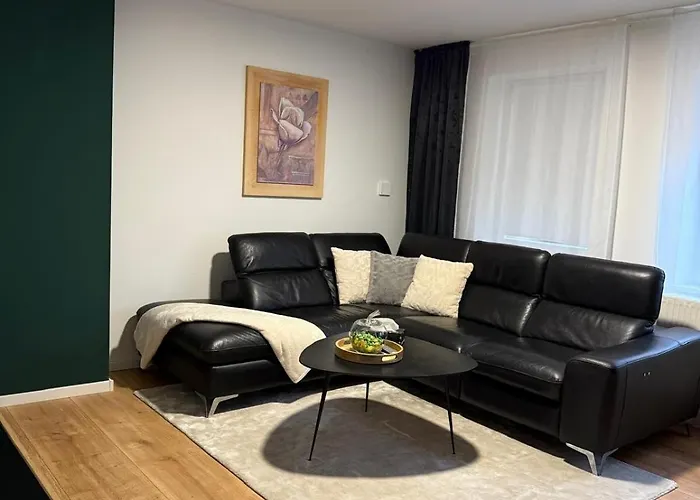 公寓 Gemuetliche Und Zentrale Stadtwohnung